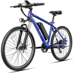 Jasion EB5 Electric Bike